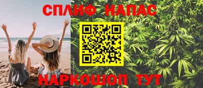 сатива Жуковский