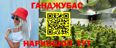 сатива Жуковский