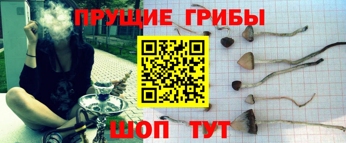 Дятьково  как найти закладки  Псилоцибиновые грибы MAGIC MUSHROOMS  Вход с VPN  Псилоцибиновые грибы MAGIC MUSHROOMS 