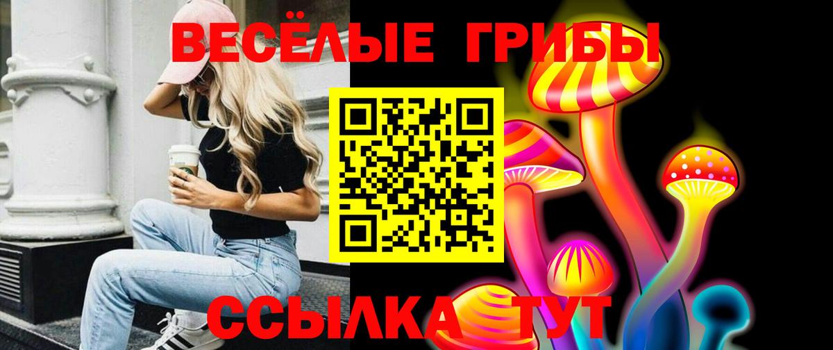 Галлюциногенные грибы Magic Shrooms Дятьково