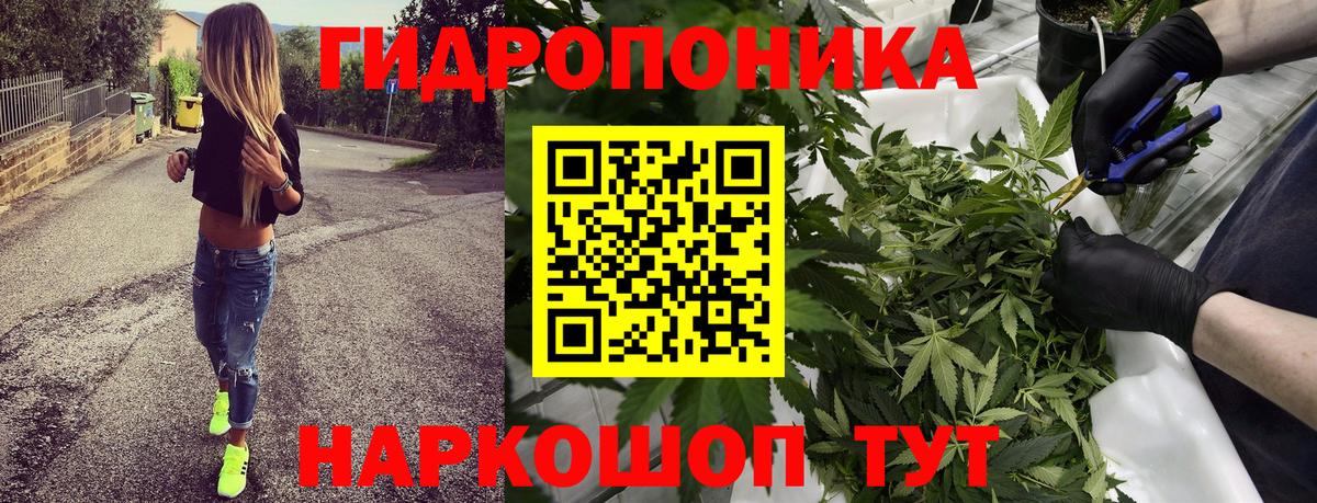 Бошки марихуана OG Kush Дятьково
